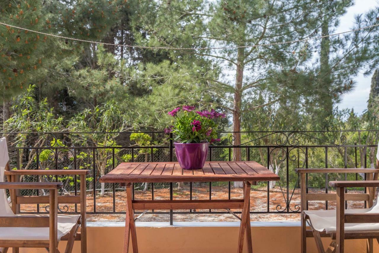 Andreas Apartments Agios Georgios Pagon Eksteriør bilde